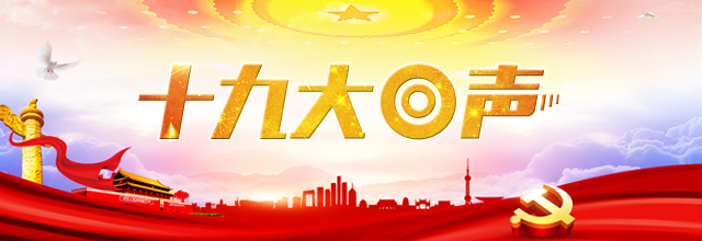 ��ʮ�Ŵ����|ר��̸������ί��ѡ�Σ���ע��ʱ���������ǻ�