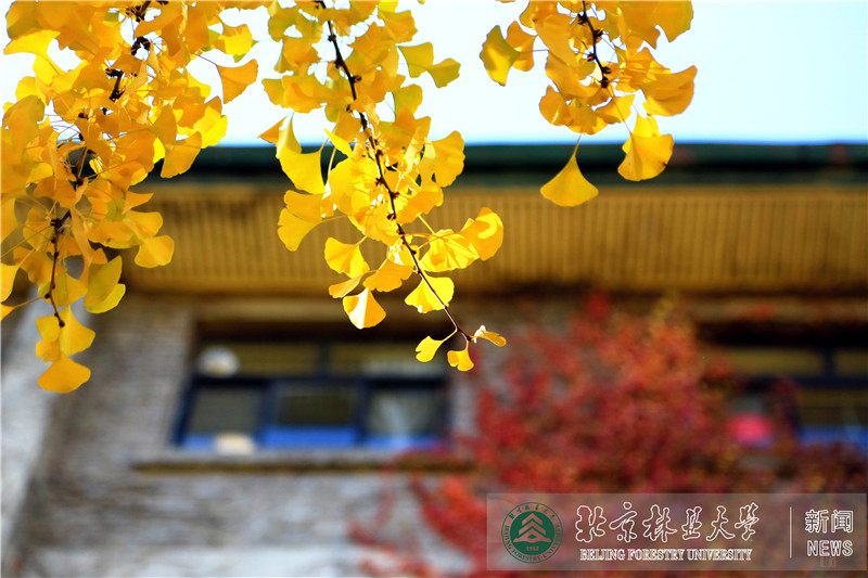             ���ֵ�����2
    