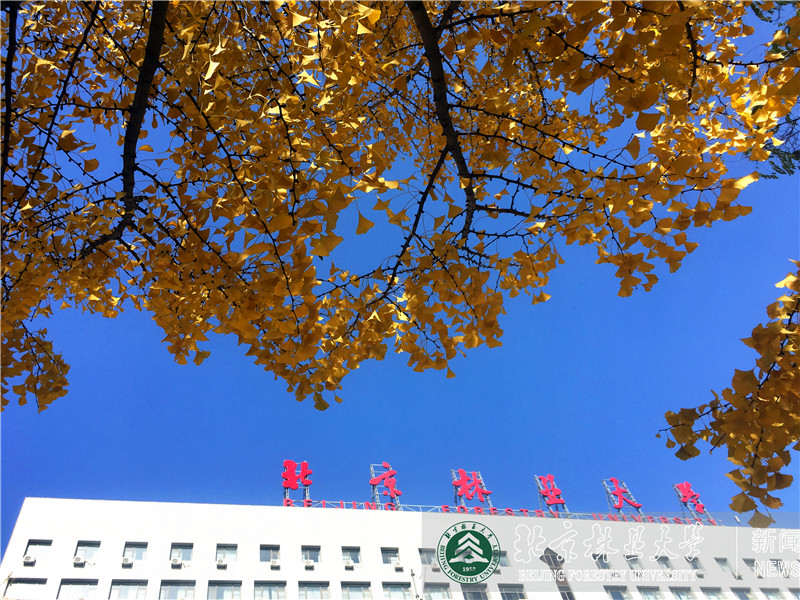             ���ֵ�����3
    