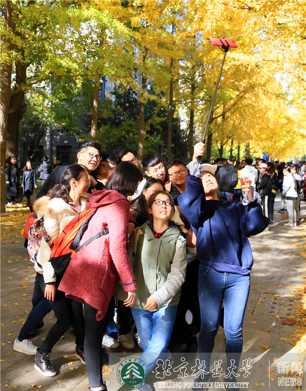             ���ֵ�����4
    